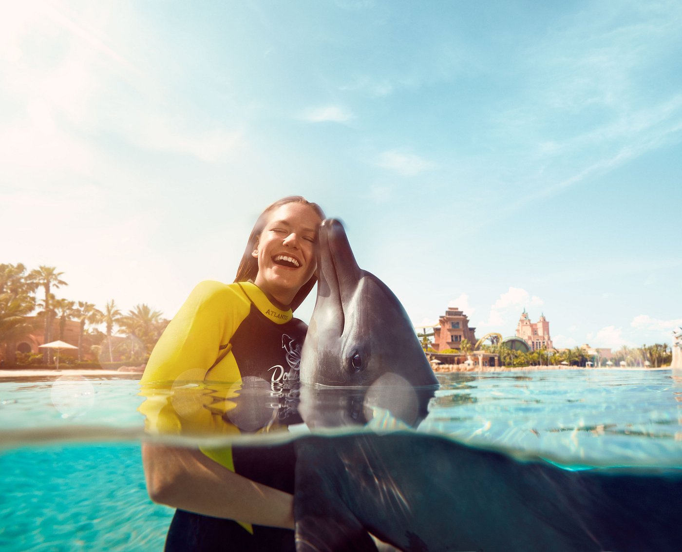 Dolphin Meet and Greet