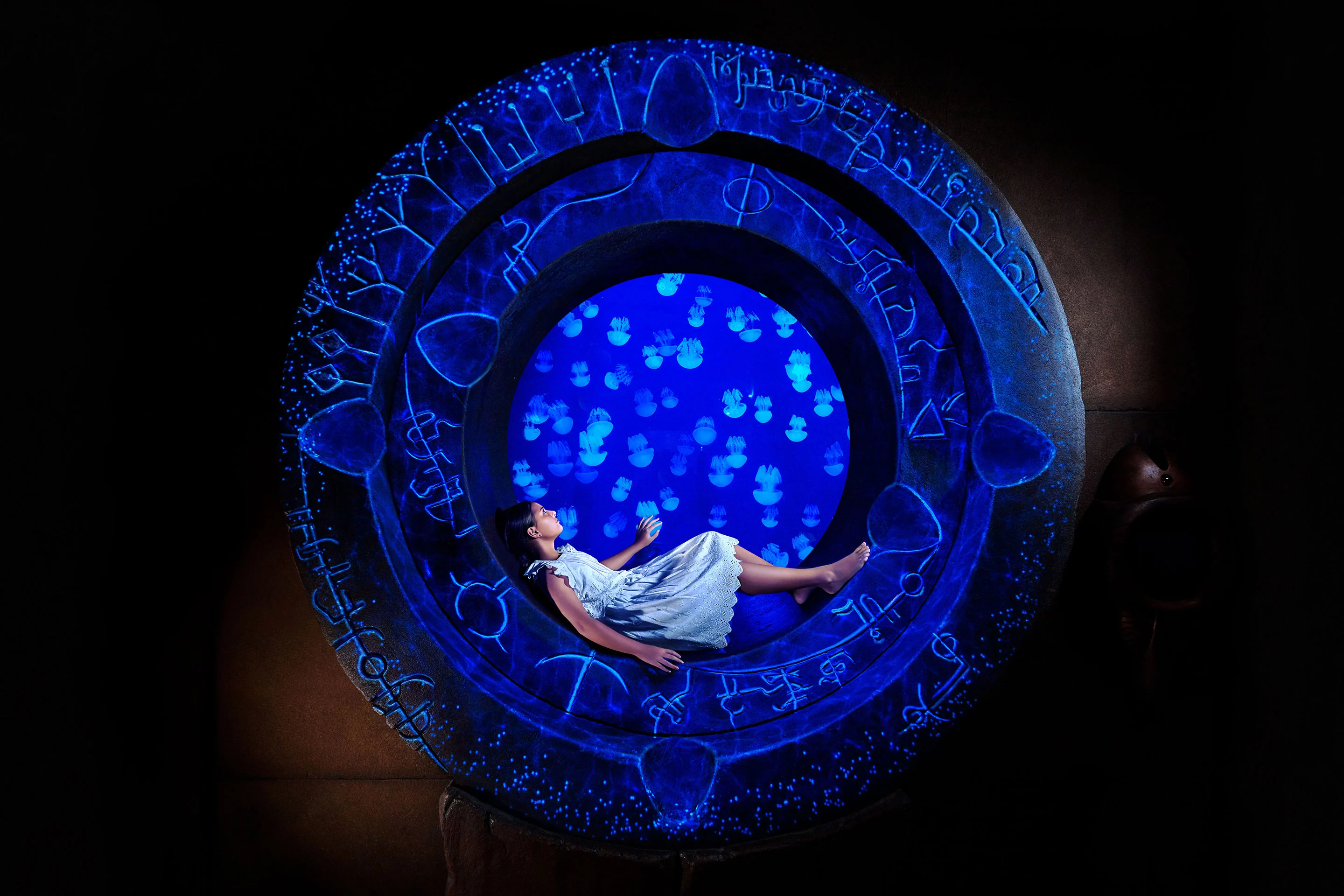 Lost Chambers Aquarium